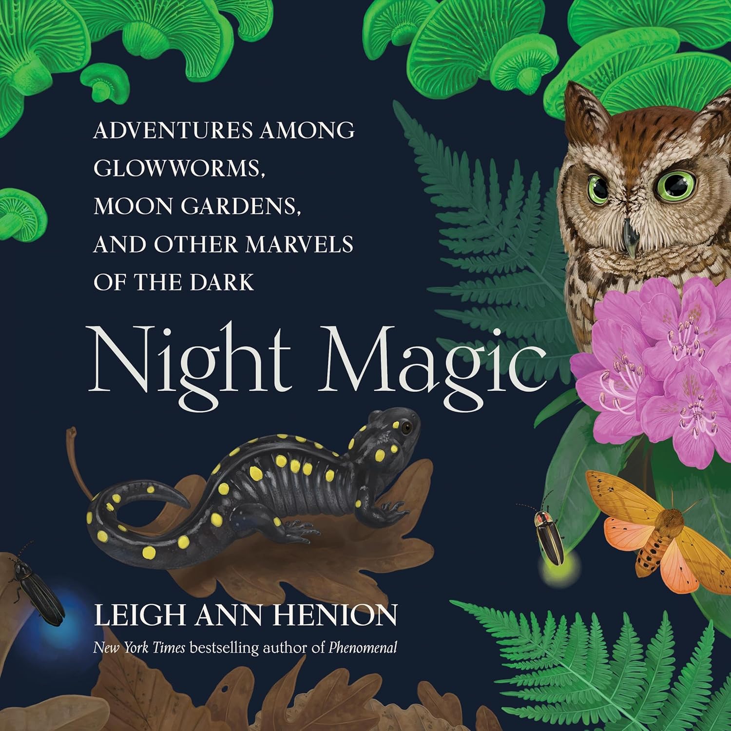 Night Magic Cover